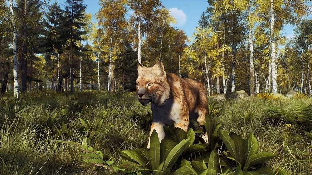 Thq Nordic Way of the Hunter - Wild Expeditions PS5