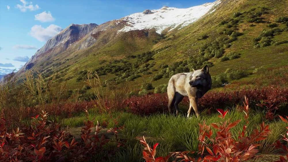 Thq Nordic Way of the Hunter - Wild Expeditions PS5
