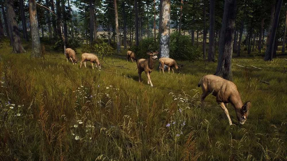 „Thq Nordic Way of the Hunter“ XBOX serija X