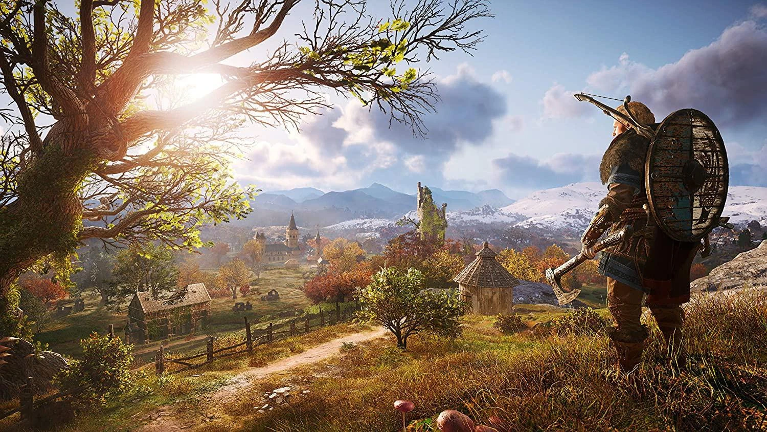 Ubisoft Assassin's Creed Valhalla Standard Edition (EN/RU) 