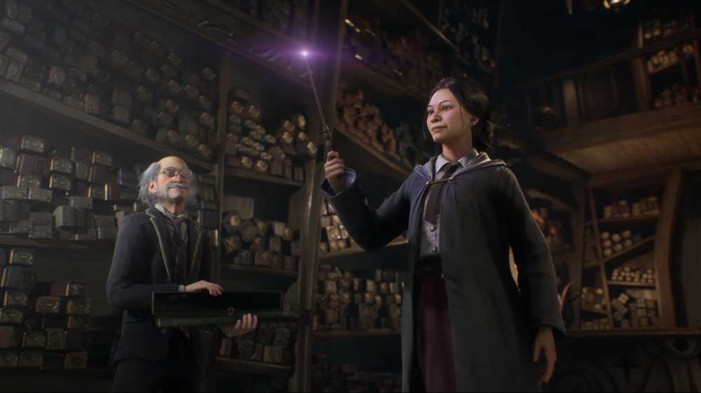 WARNER BROS Hogwarts Legacy