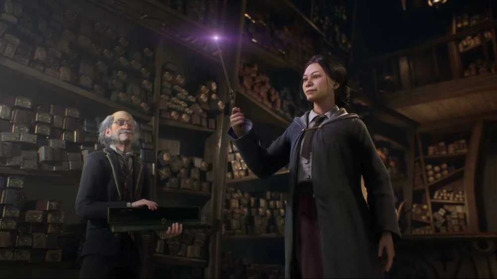 WARNER BROS Hogvartso palikimas