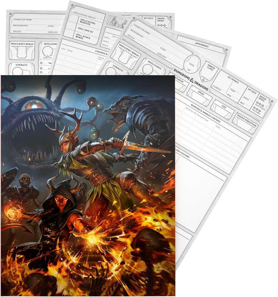 Wizards of the Coast Dungeons & Dragons Character Sheets 2024