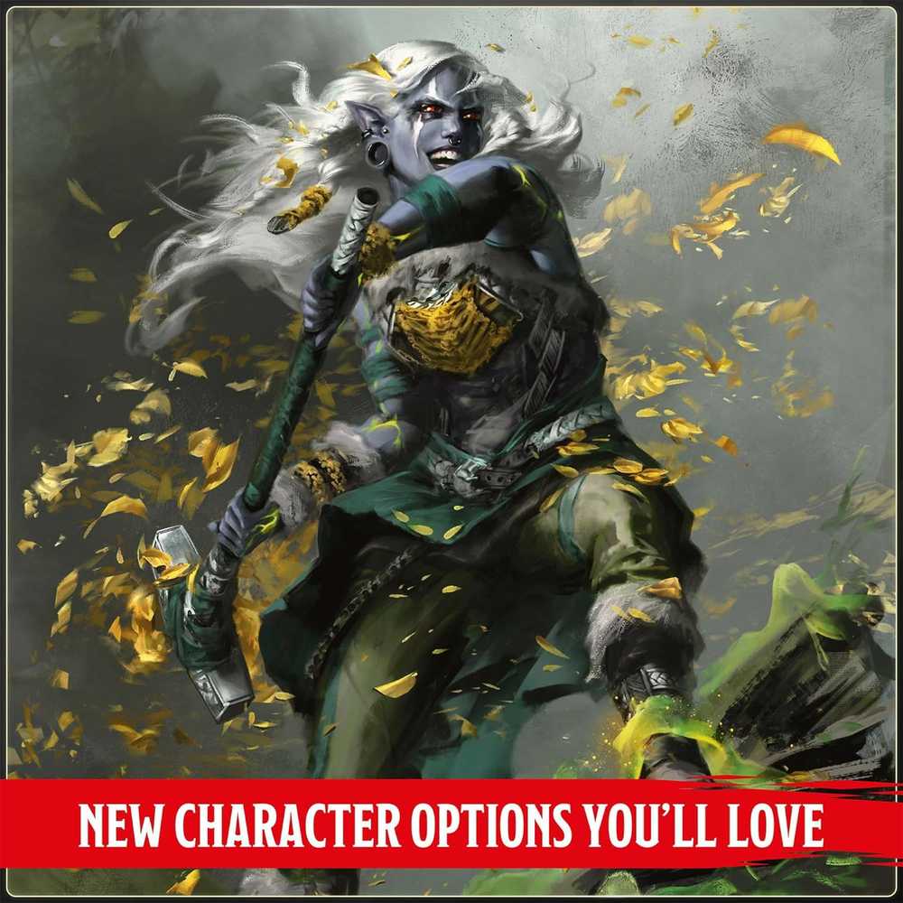 Wizards of the Coast Dungeons & Dragons Player's Handbook 2024 knyga