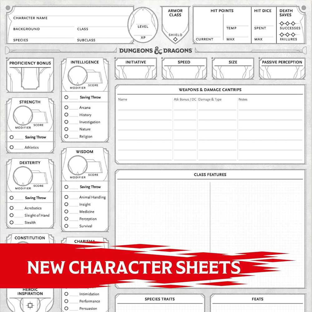 Wizards of the Coast Dungeons & Dragons Character Sheets 2024