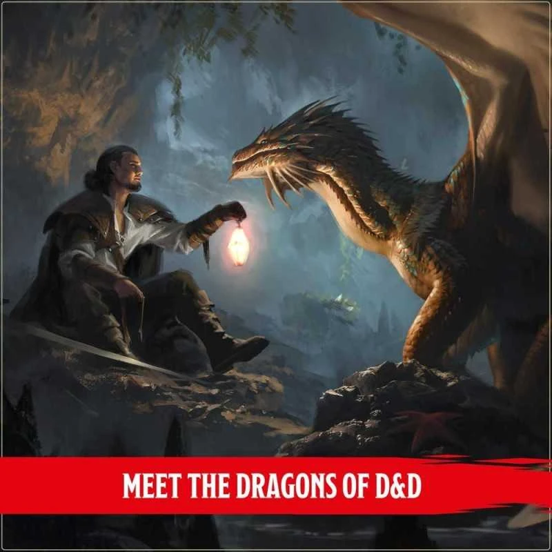 Wizards of the Coast Dungeons & Dragons Dragon Delves Alternate Cover Knyga