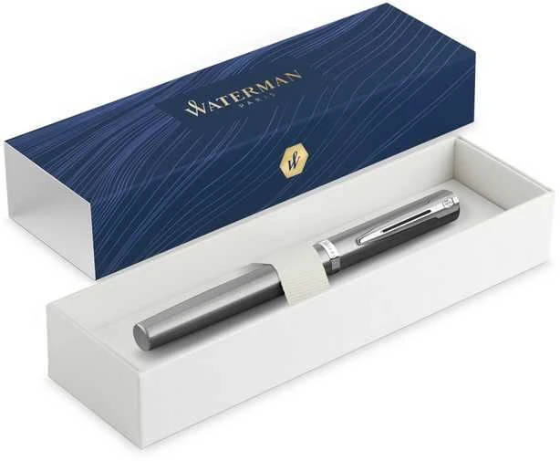 Waterman Impression Steel CT plunksnakotis (M) - 2225491