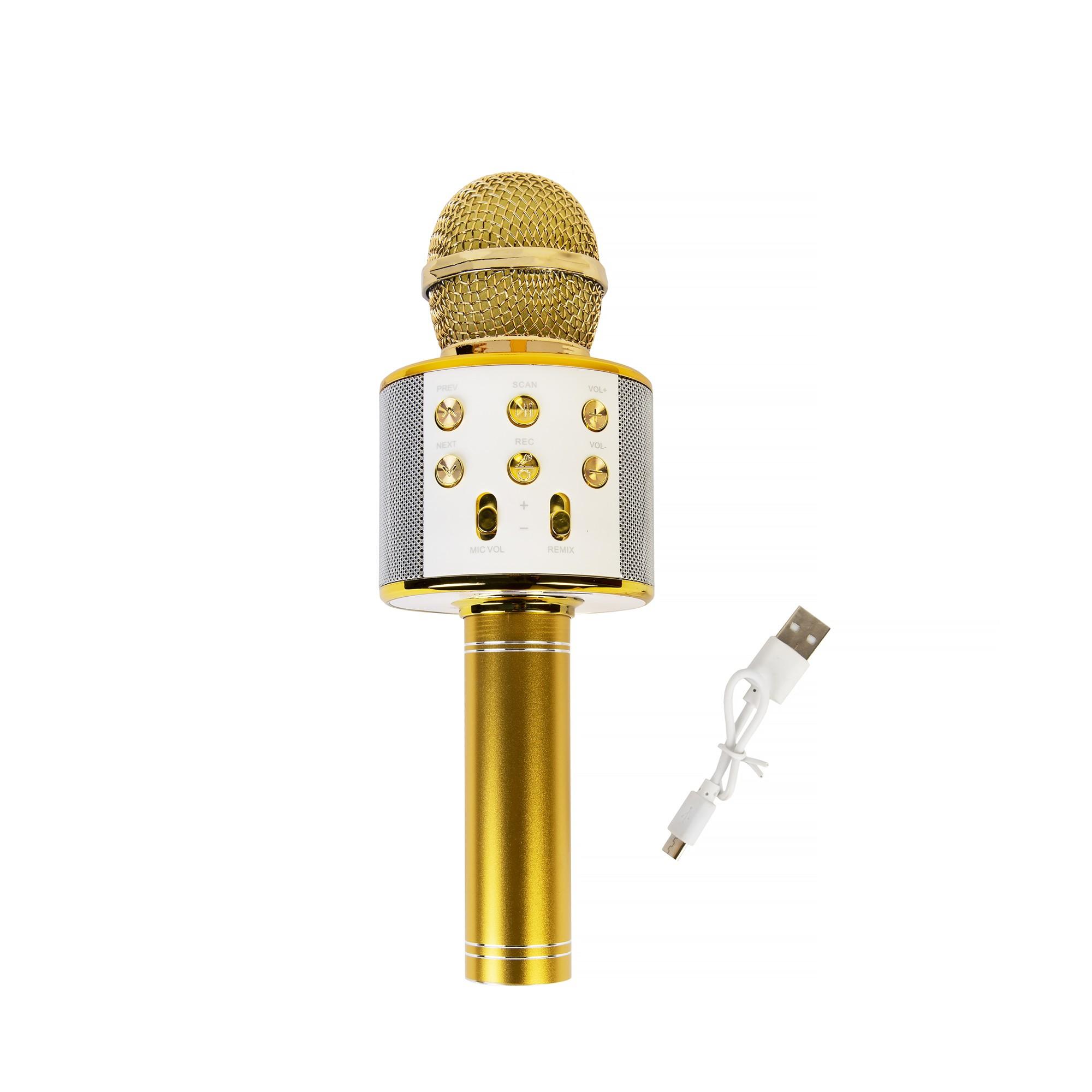 Xrec karaokė mikrofonas - kolonėlė su balso keitimo efektais WS-858