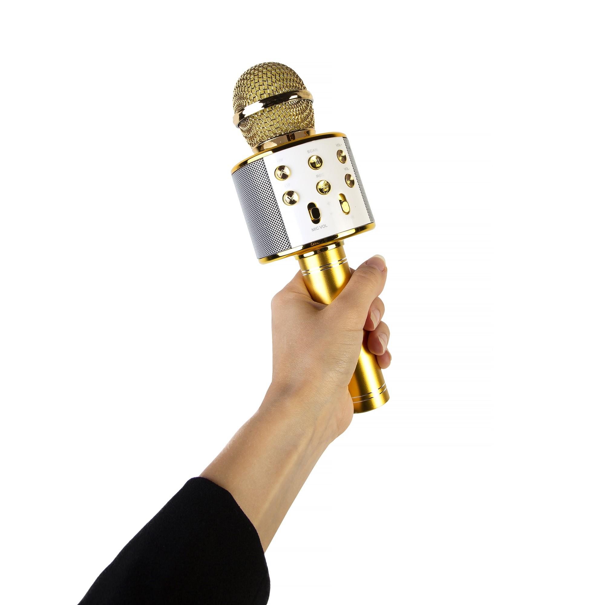 Xrec karaokė mikrofonas - kolonėlė su balso keitimo efektais WS-858
