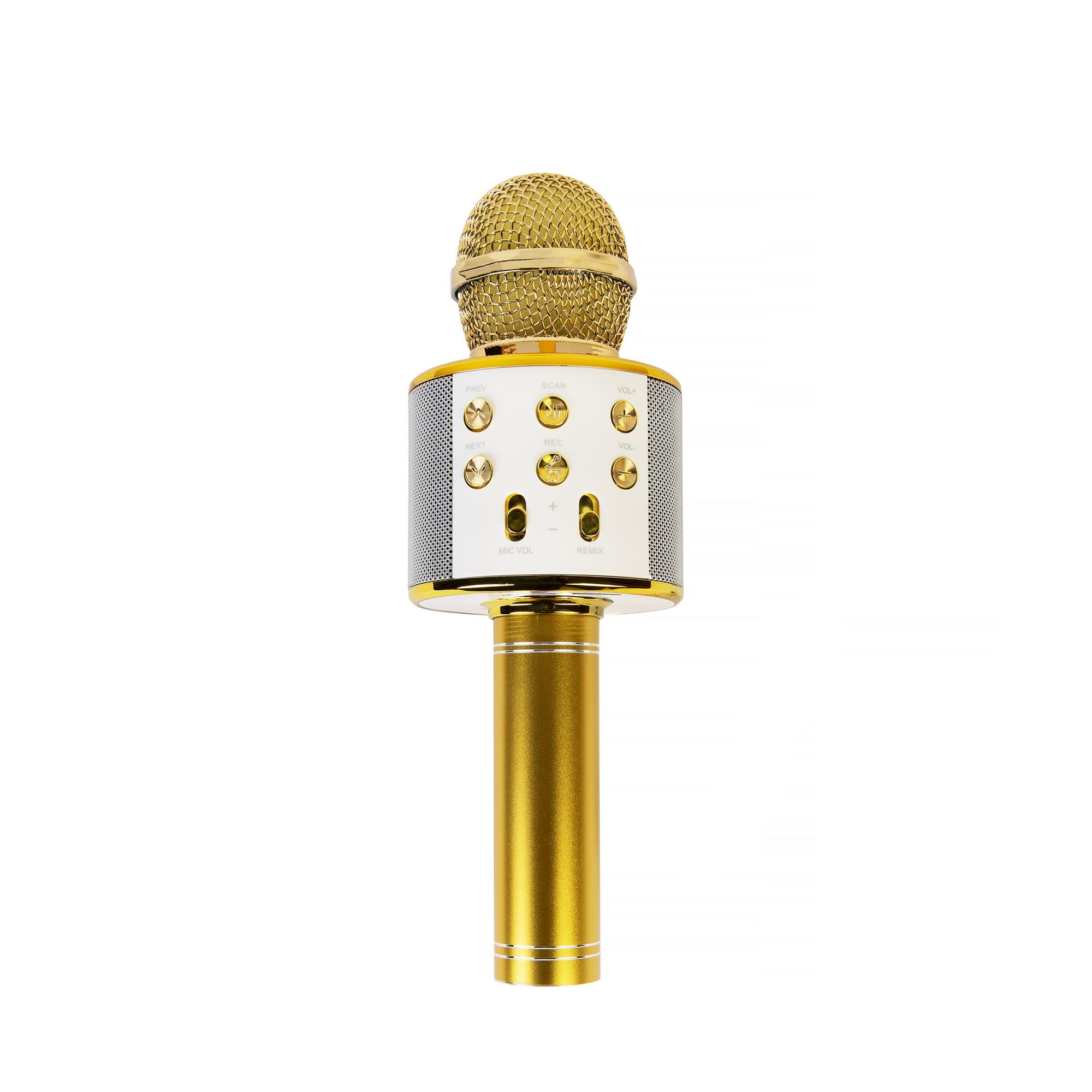 Xrec karaokė mikrofonas - kolonėlė su balso keitimo efektais WS-858