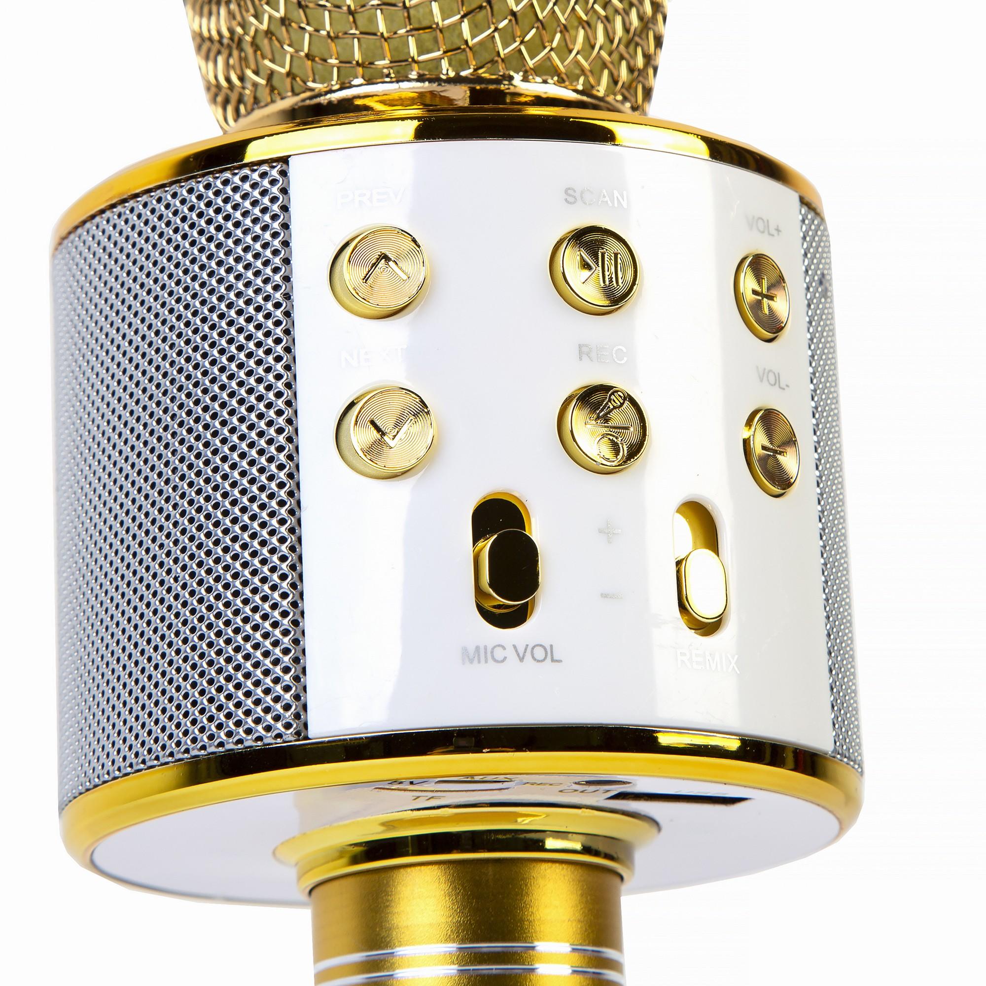 Xrec karaokė mikrofonas - kolonėlė su balso keitimo efektais WS-858