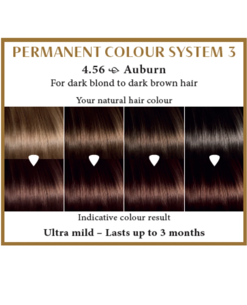 Henna Plus HAIRWONDER Ilgalaikiai plaukų dažai, spalva kaštono 4.56