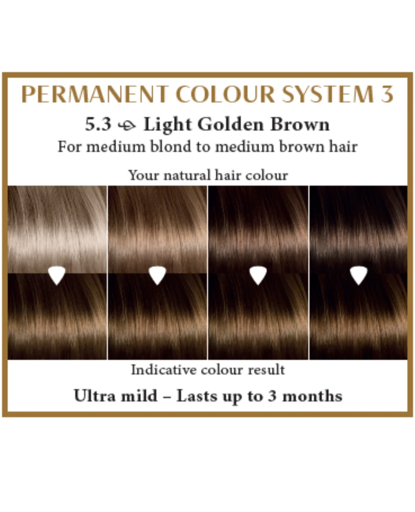 Henna Plus HAIRWONDER Ilgalaikiai plaukų dažai, spalva šviesi ruda auksinio atspalvio 5.3