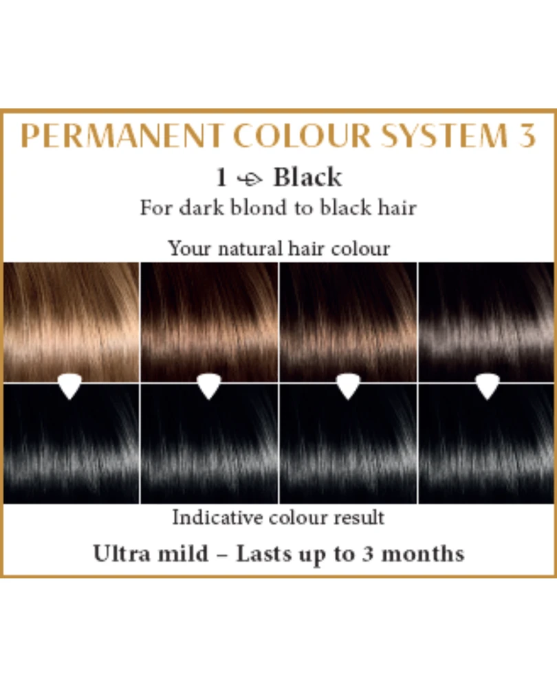Henna Plus HAIRWONDER Ilgalaikiai plaukų dažai, spalva juoda 1