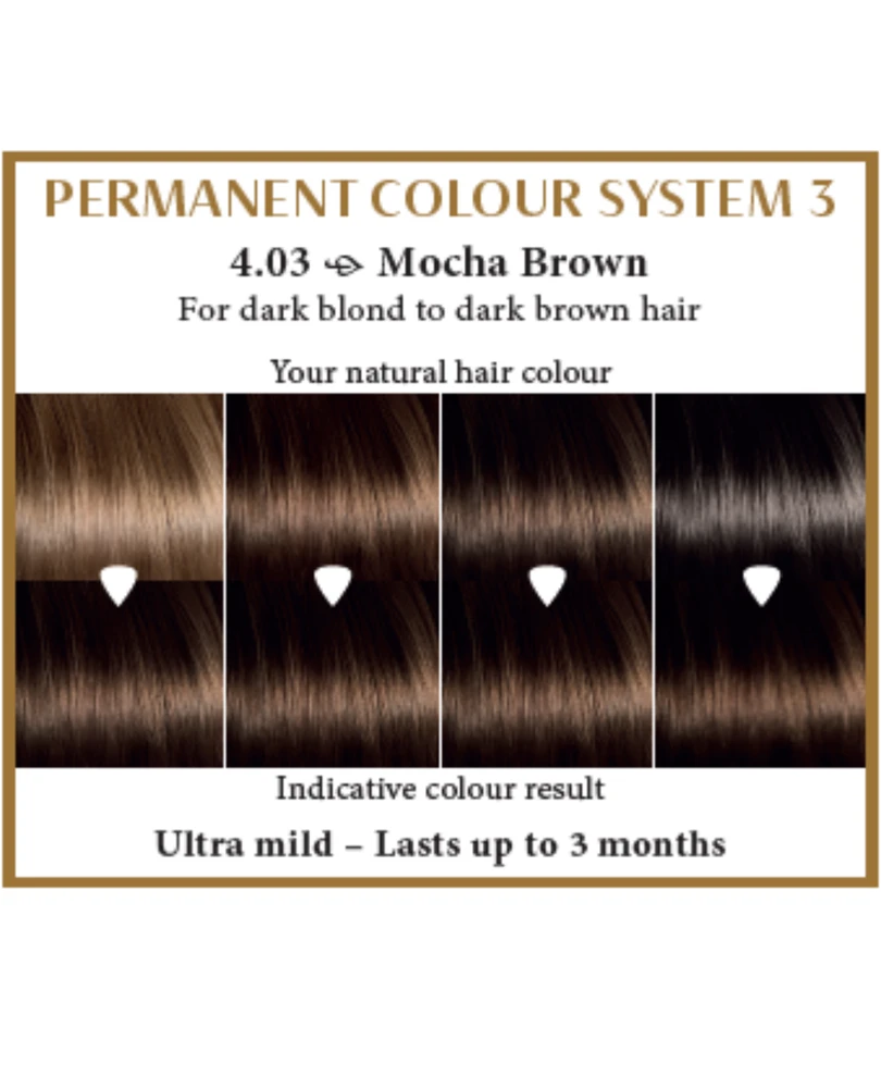 Henna Plus HAIRWONDER Ilgalaikiai plaukų dažai, spalva kavos ruda 4.03