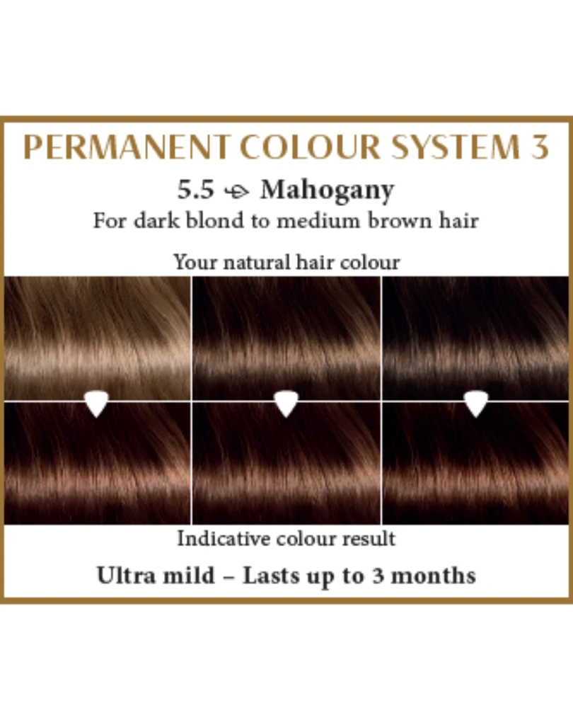 Henna Plus HAIRWONDER Ilgalaikiai plaukų dažai, spalva raudonmedžio 5.5