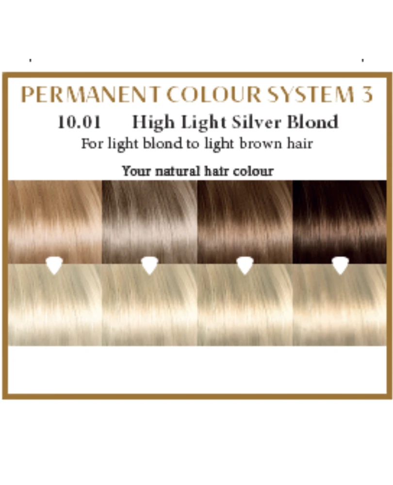 Henna Plus HAIRWONDER Ilgalaikiai plaukų dažai, spalva labai šviesi pelenų blondinė 10.01