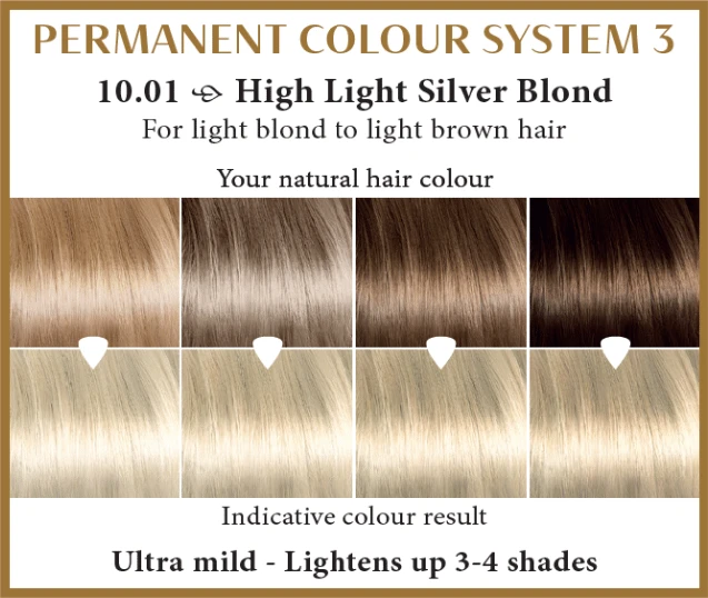 Henna Plus HAIRWONDER Ilgalaikiai plaukų dažai, spalva labai šviesi pelenų blondinė 10.01