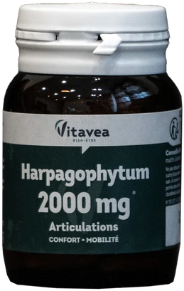 Vitavea Gulsčiojo inkaruočio ekstraktas 2000 mg, 40 augalinės kilmės kapsulių