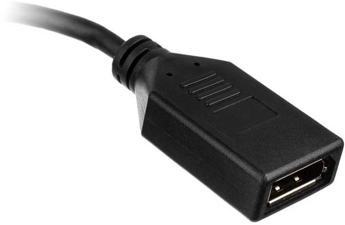 Akasa HDMI į DisplayPort adapterio laidas – juodas