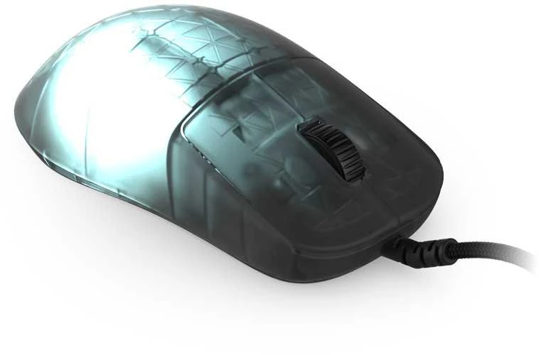Endgame Gear OP1 RGB žaidimų pelė – Dark Frost
