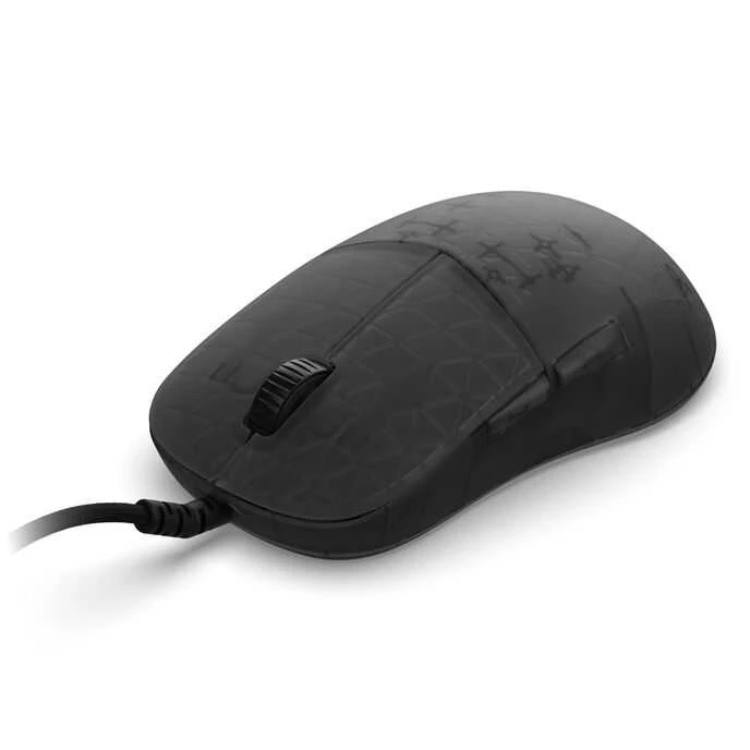 Endgame Gear XM2 8k Pelė žaidimams, su laidu – Dark Frost