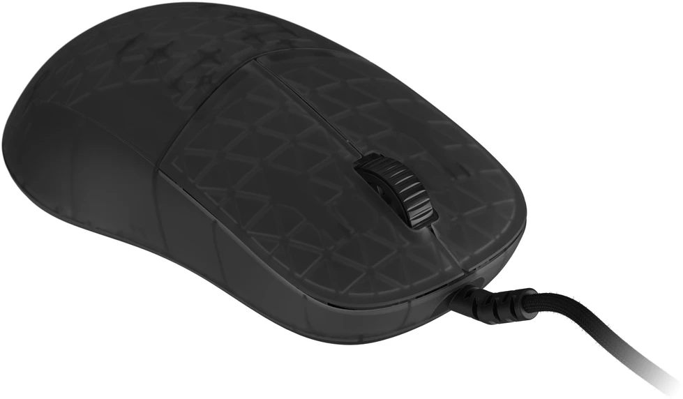 Endgame Gear XM2 8k Pelė žaidimams, su laidu – Dark Frost