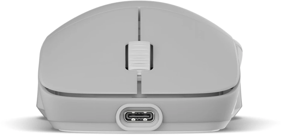 Endgame Gear XM2w 4k v2 žaidimų pelė – Baltas Frost