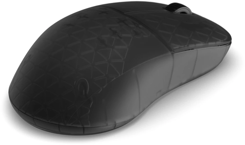 Endgame Gear XM2w 4k v2 žaidimų pelė – Dark Frost