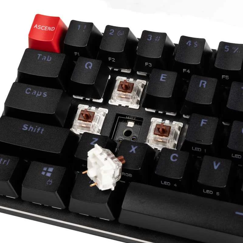 Glorious Klaviatūra Compact GMMK-COMPACT-BRN, ANSI US išdėstymas, Gateron Brown Switch