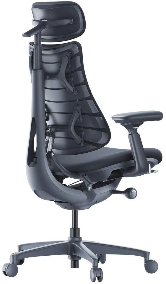 LiberNovo Omni 48 cm ergonominė kėdė (juoda)