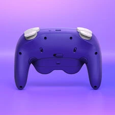 NYXI - Warrior Switch 1 & 2 Controller - Violetinė