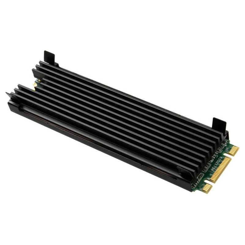 Thermal Grizzly M.2 SSD aušintuvas skirtas PC/PS5