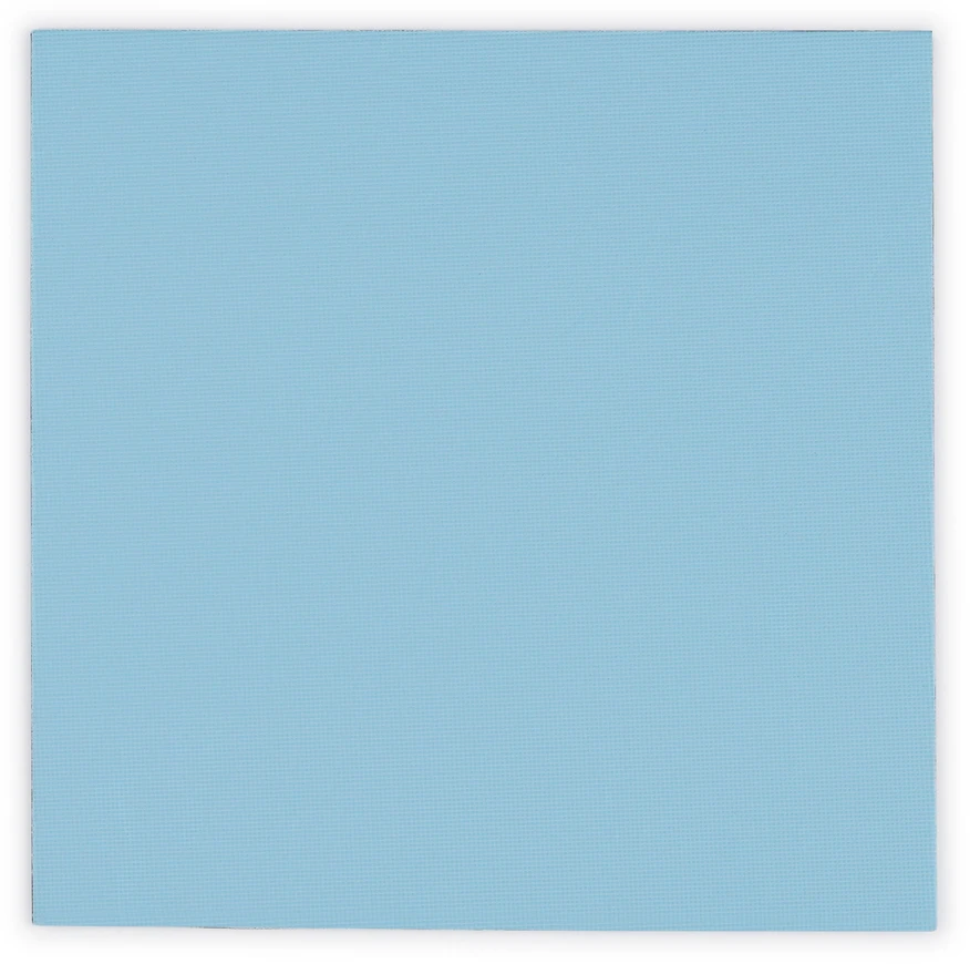 Thermal Grizzly Terminis Grizzly antgalis „Grizzly Minus Pad Pro“ – 100 x 100 x 0,5 mm