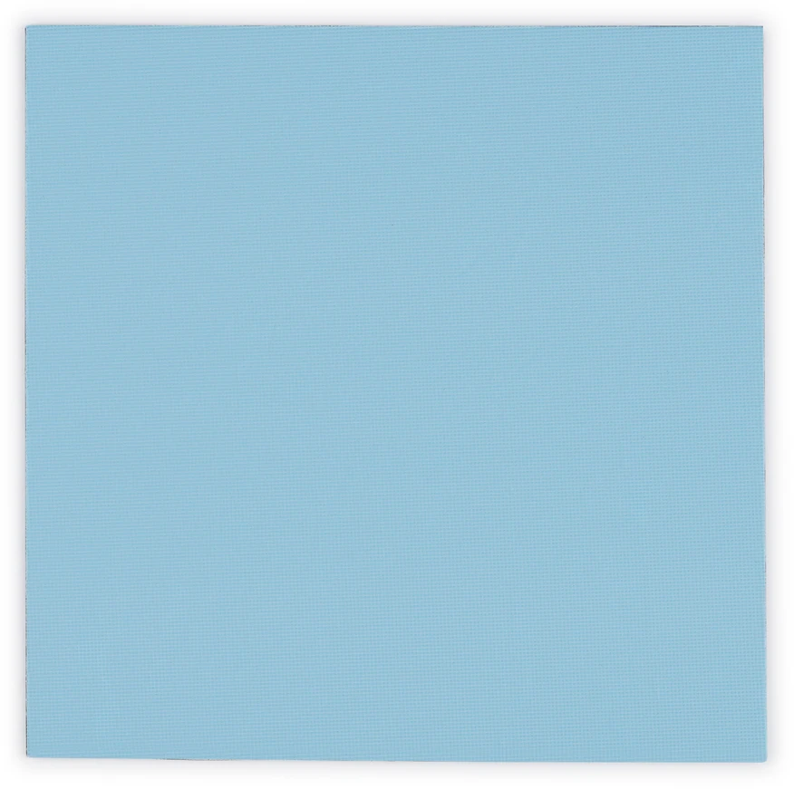 Thermal Grizzly Terminis Grizzly terminalas „Grizzly Minus Pad Pro“ – 100 x 100 x 1,0 mm