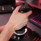 THRUSTMASTER T.Flight Stick X (PC / PS3) (4160526)