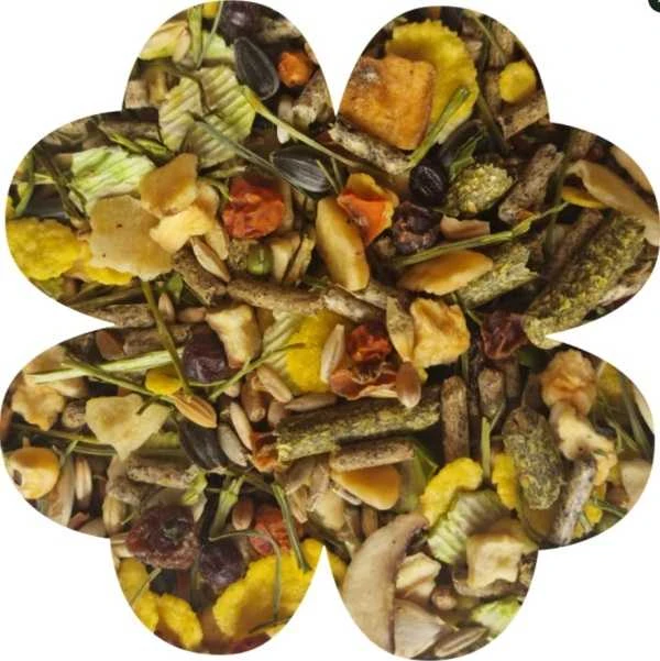 Alegia Enjoy Fruit&Vegetable žiurkėnams maistas 400g