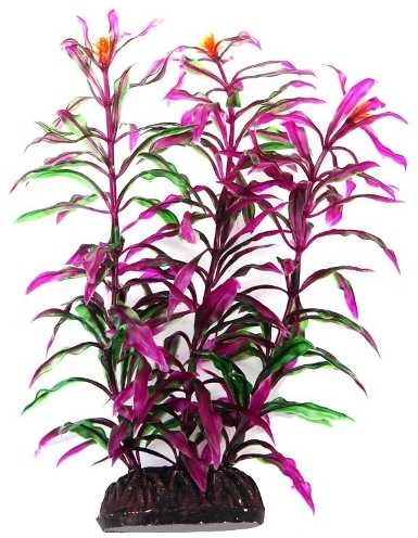 AQUA NOVA plastikinis augalas Hygro Araguais 20cm