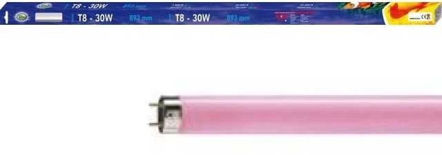 AQUA NOVA T8 lempa 30W raudona 13000K 900mm