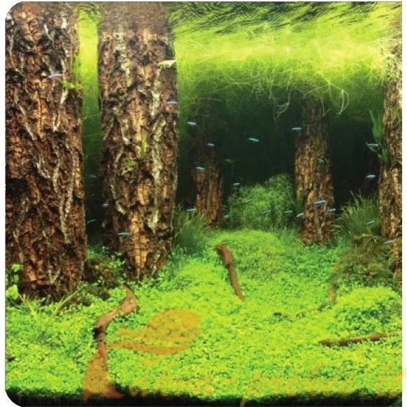 Aquael Fonas 30cm aukščio (dvipusis) 1 metras
