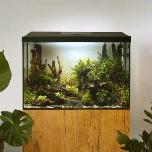 Aquael Leddy 60 XL (72L) Day&amp;Night