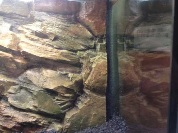 Aquael Photo Syntetic Bacteria 120ml