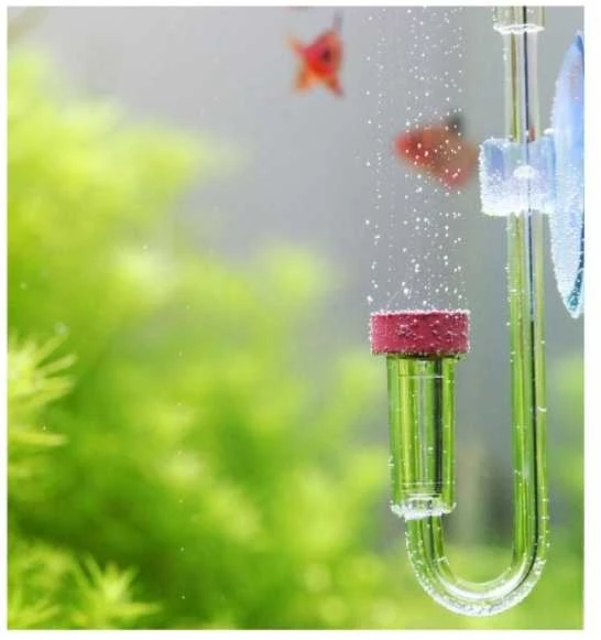Aquario Chihiros Nano CO2 Diffuser L