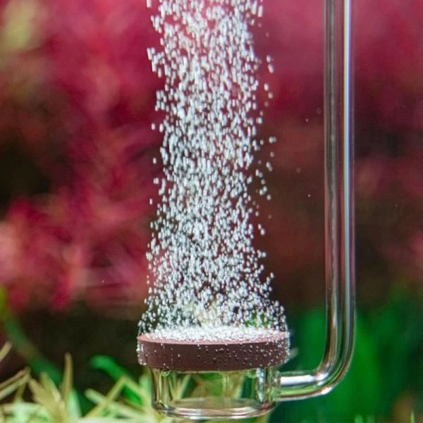 Aquarius Aquario CO2 Neo diffuser Special L nuo 200L