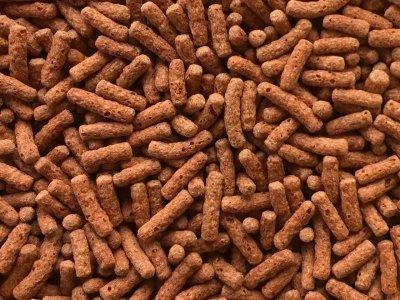 Dajana Cichlids sticks 250ml/80g