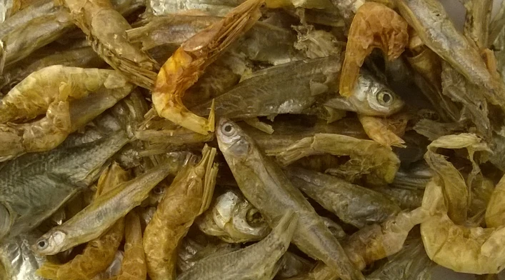 Dajana Fish and Shrimp 2000ml/175g