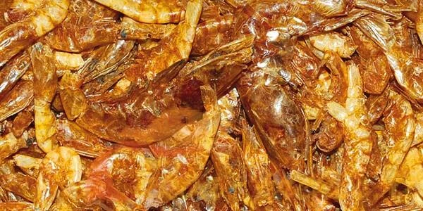 Dajana Shrimp 1000ml/150g