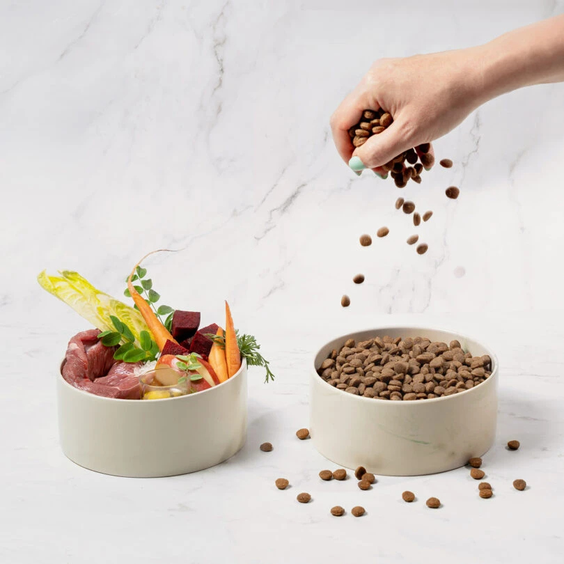Aquael Comfy Appetit Vita ėriena Mini 2,5kg aprašymas - Prekės nuotrauka Aquael Comfy Appetit Vita ėriena Mini 2,5kg aprašymas - Prekės nuotrauka