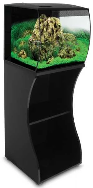 Fluval Flex juoda spintelė su akvariumu