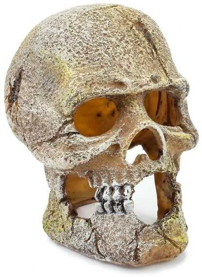 Happet Dekoracija kaukolė 13 cm